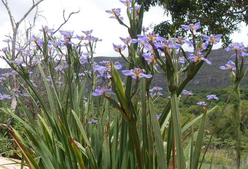 فندق Pousada Papyrus