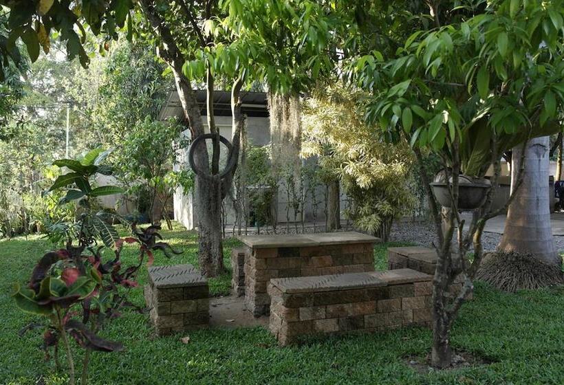 호텔 Racha Herb Gardens