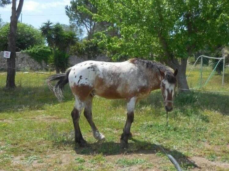 בית מלון כפרי Villa Conca Marco