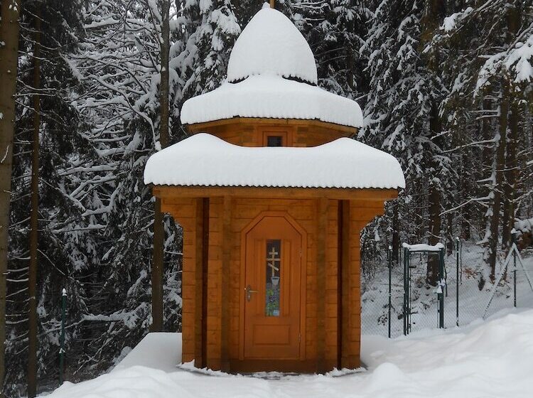 Отель Zámek Lužec Spa & Wellness Resort