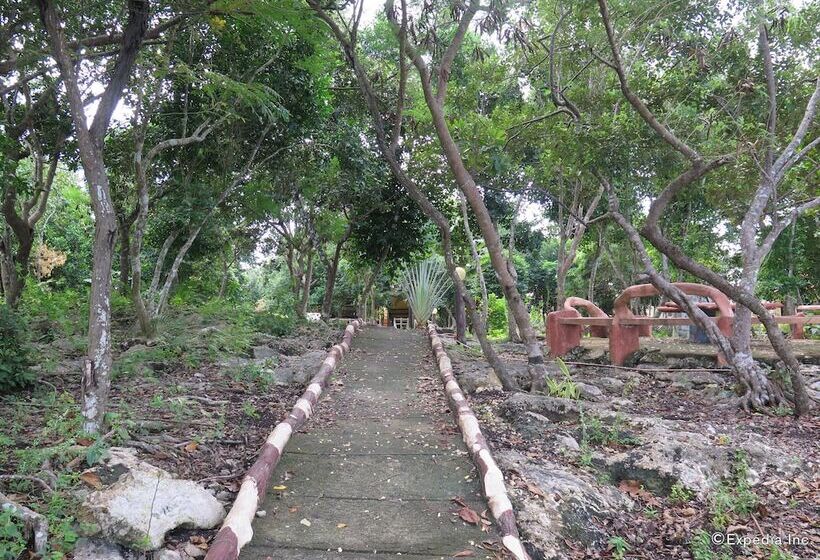 بنسيون Alexis Cliff Dive Resort