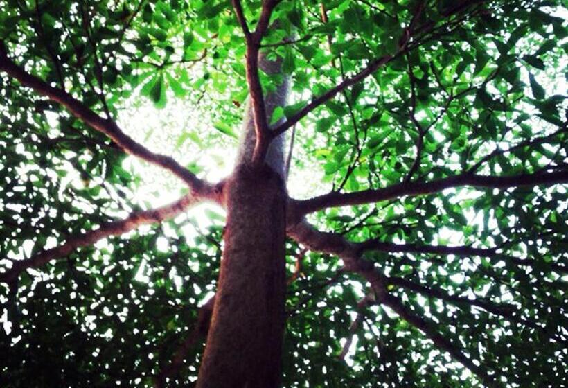 بنسيون Baan Siriporn Resort   โรงแรมบ้านศิริพร รีสอร์ท