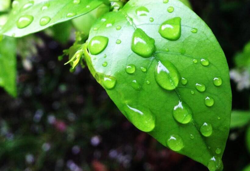 بنسيون Baan Siriporn Resort   โรงแรมบ้านศิริพร รีสอร์ท