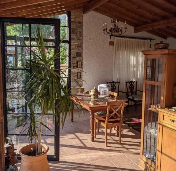 פנסיון Bahab Guest House