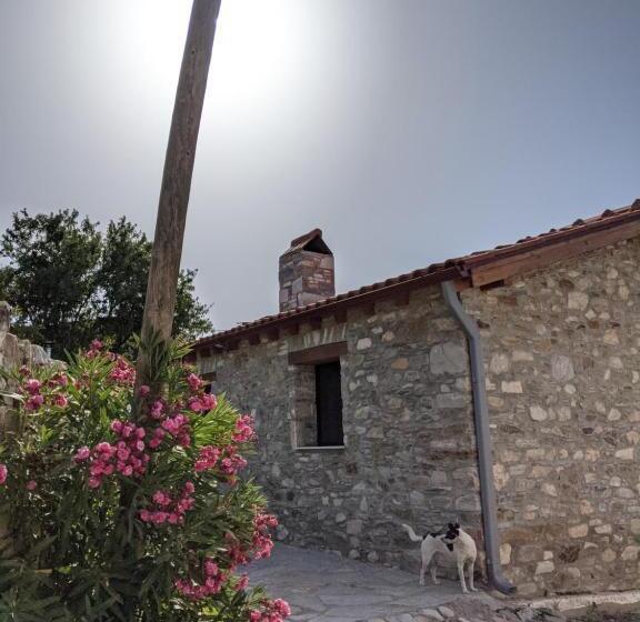 Пансион Bahab Guest House