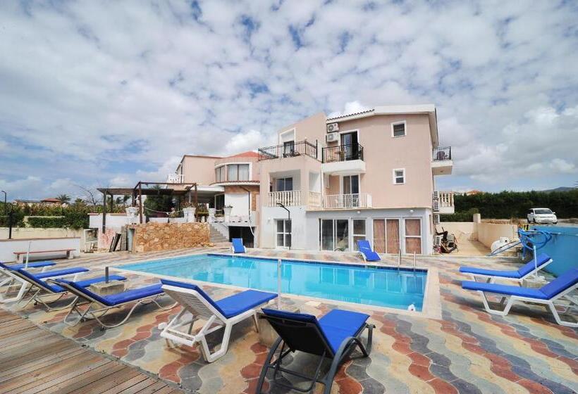 膳宿费 Bella Rosa Hotel Cyprus