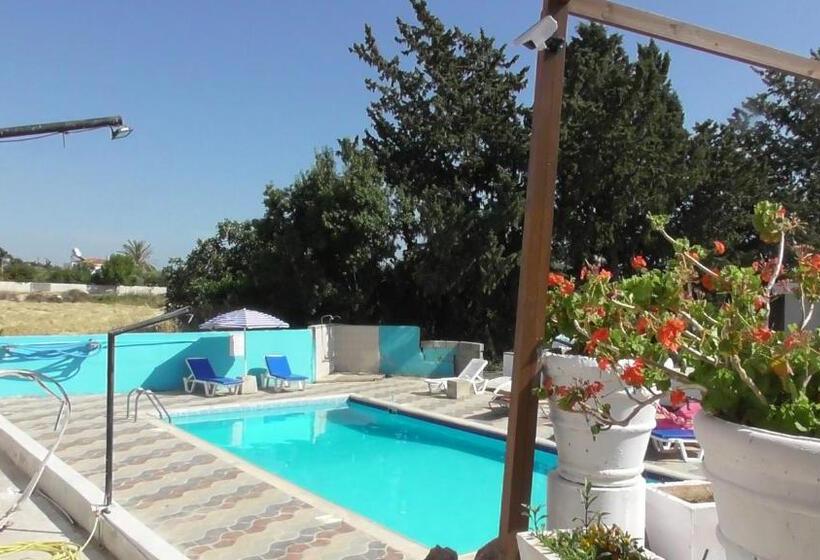 膳宿费 Bella Rosa Hotel Cyprus