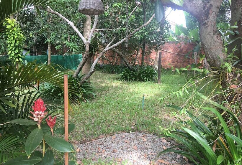 پانسیون Bloom Garden Guesthouse