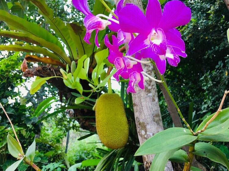 پانسیون Bloom Garden Guesthouse