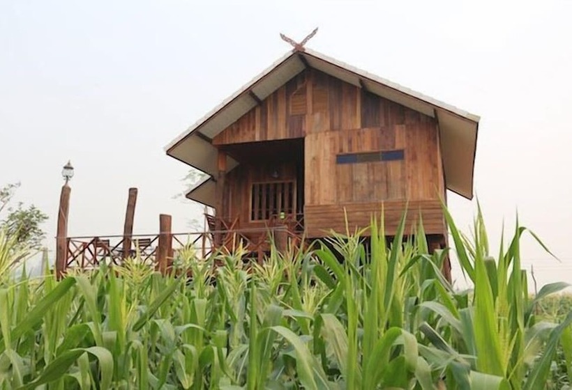 膳宿费 Chiang Dao Privacy