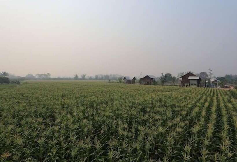 膳宿费 Chiang Dao Privacy