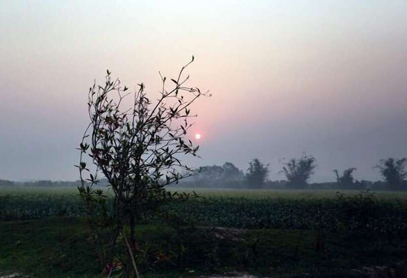 膳宿费 Chiang Dao Privacy