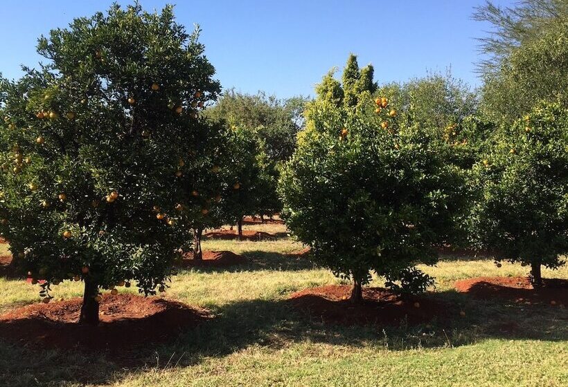 ペンション Gatz Guest House