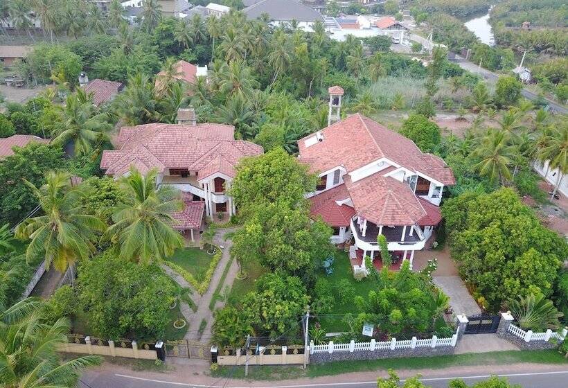 פנסיון Rico Shadow Guest House