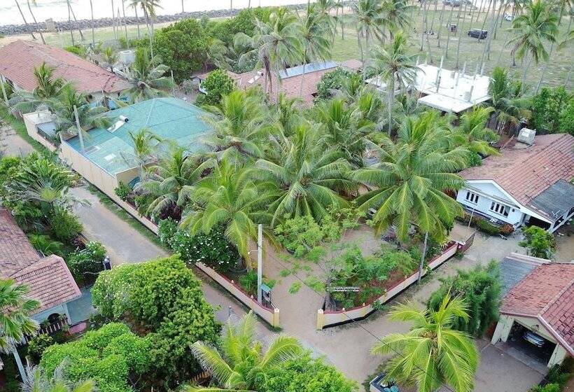 פנסיון Rico Shadow Guest House