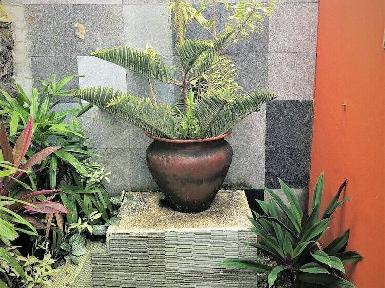 Пансион Villa Anjing