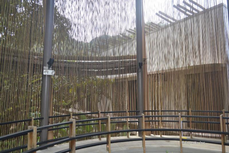 Spin Designer Hostel   El Nido