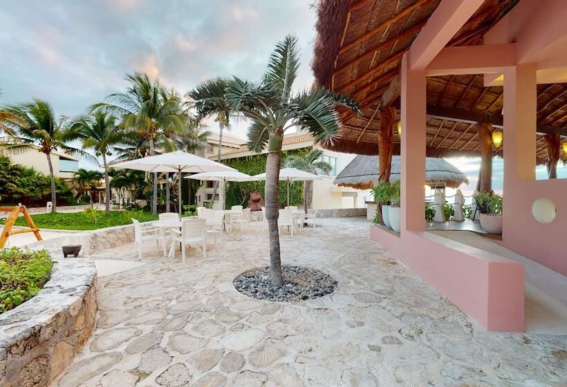 Royal Select At Grand Park Royal Cancún   All Inclusive   Adults Only