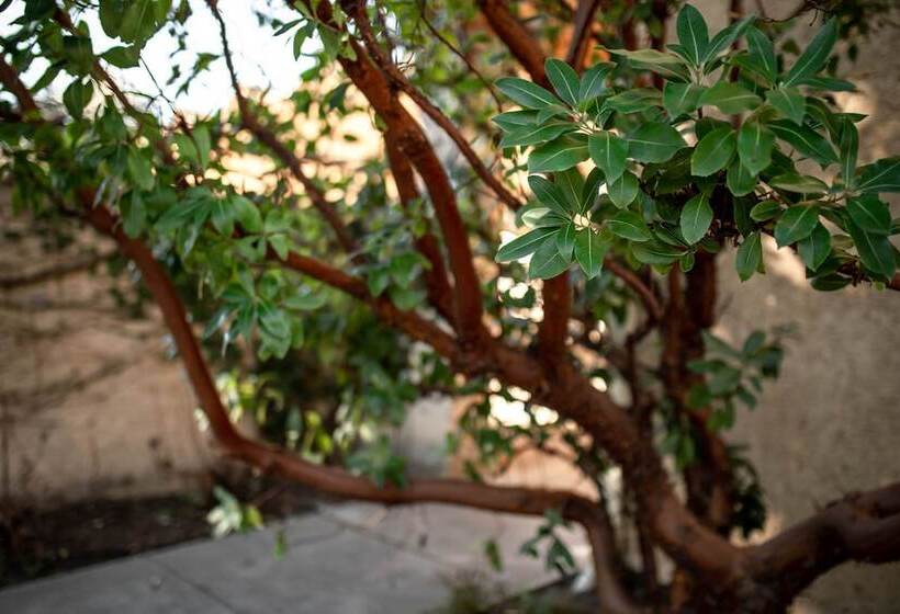 צימר Seven Branches Venue And Inn