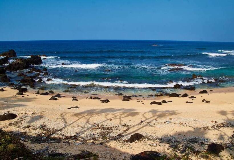 تختخواب و صبحانه Tanna Horizon Bungalows & Tours