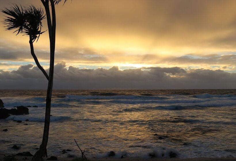 مبيت وإفطار Tanna Horizon Bungalows & Tours