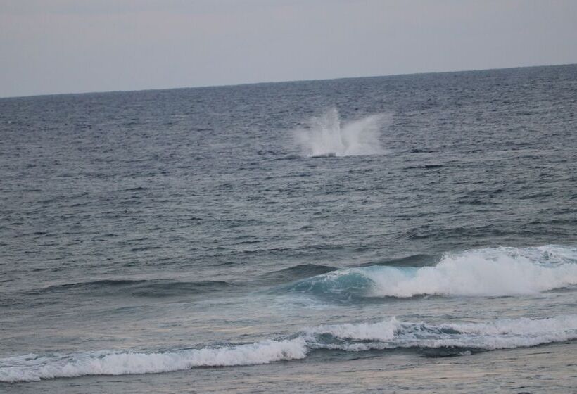 مبيت وإفطار Tanna Horizon Bungalows & Tours