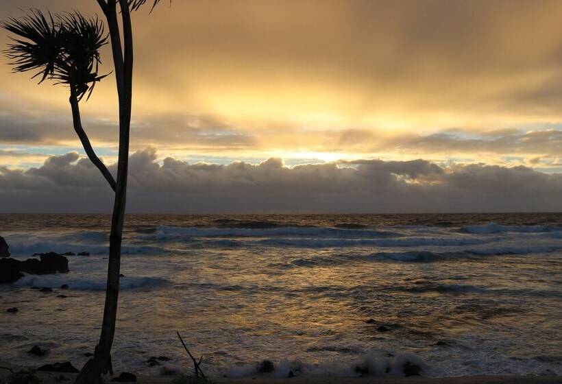 مبيت وإفطار Tanna Horizon Bungalows & Tours