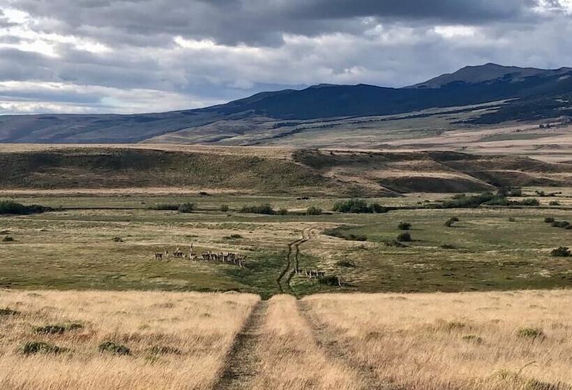 פונדק Hostería Pionero