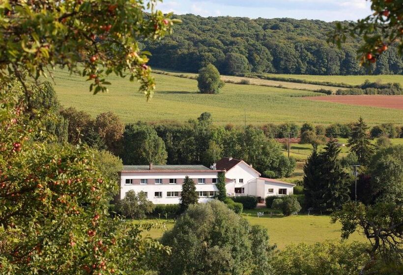 Отель Auberge Du Parc