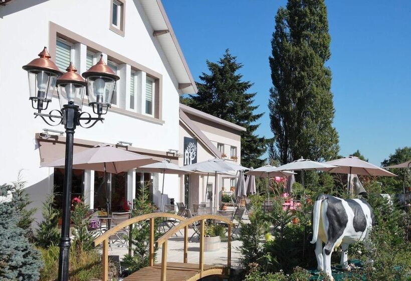 Отель Auberge Du Parc