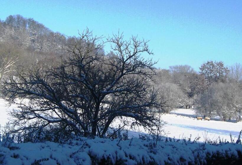 호텔 Auberge Du Parc