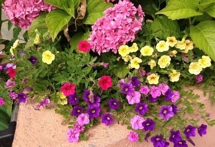 호텔 Auberge Du Parc