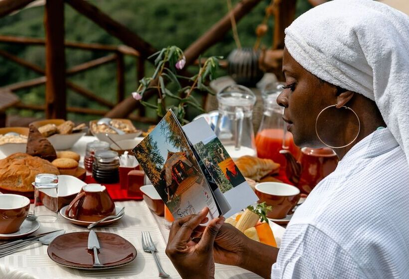 فندق Escarpment Luxury Lodge