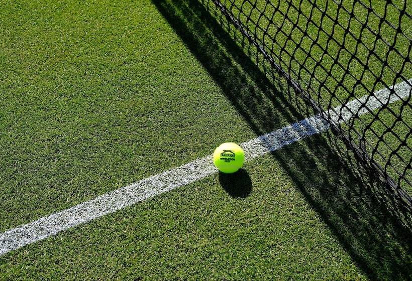 Отель Fattoria Belvedere