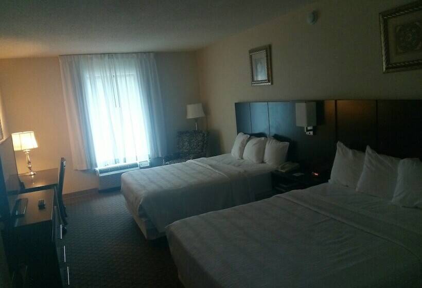 Отель Gold Vault Inn