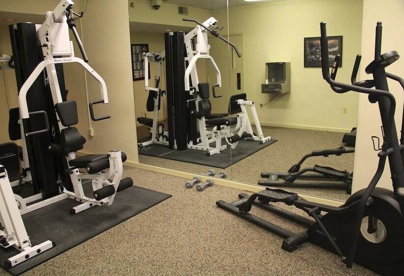 Отель Gold Vault Inn