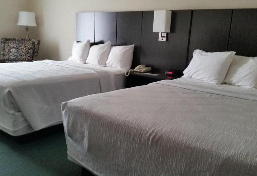 Отель Gold Vault Inn