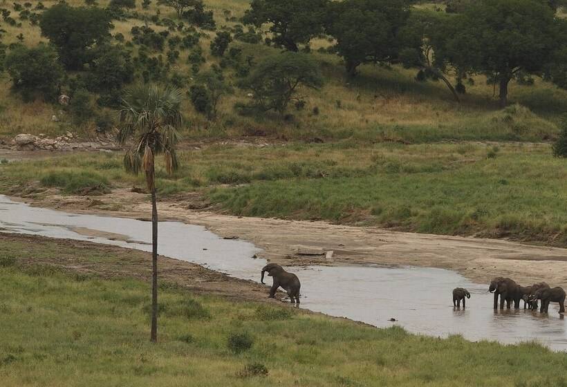فندق Karatu Tented Lodge