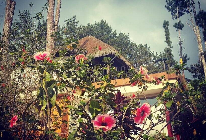 호텔 La Semilla Ecolodge