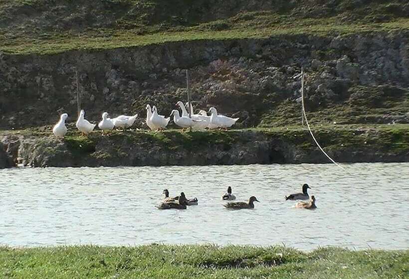 فندق ريفى Il Felcino