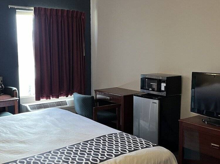 ホテル Springfield Inn