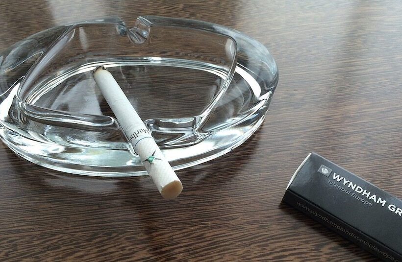 ホテル Springfield Inn