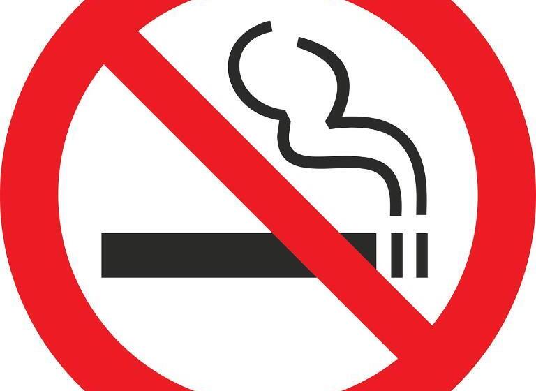 ホテル Springfield Inn