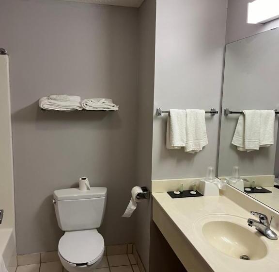 ホテル Springfield Inn