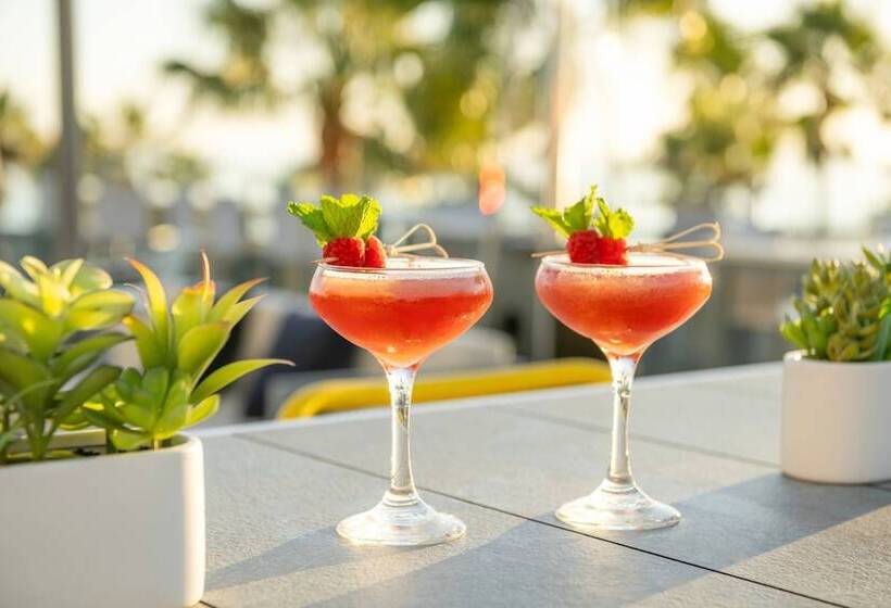 ホテル Springhill Suites By Marriott San Diego Carlsbad