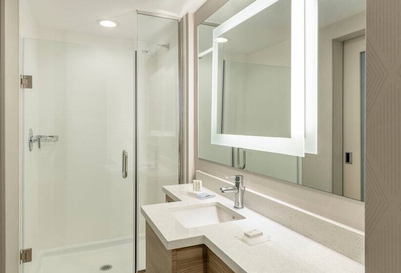 ホテル Springhill Suites By Marriott San Diego Carlsbad