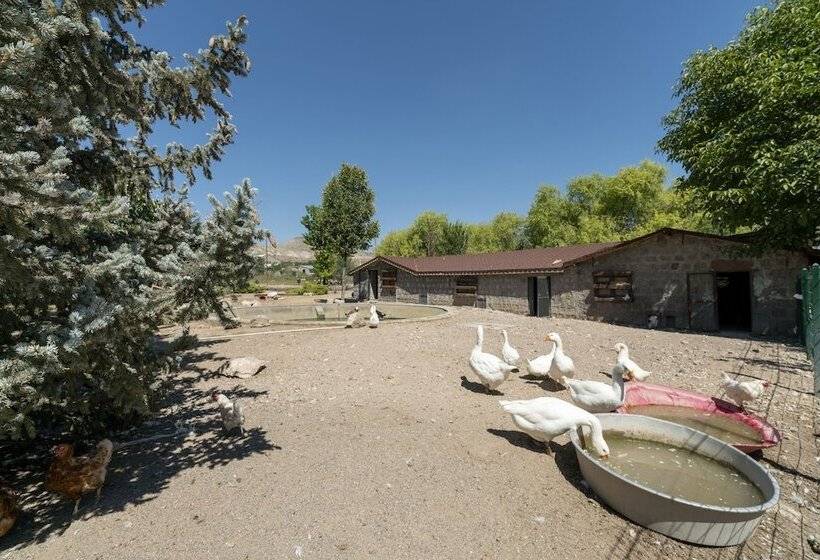 Отель Sunolus Vineyard House