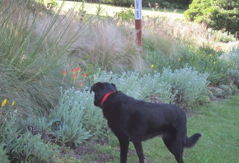 Отель The Stanford Inn By The Sea Eco Resort