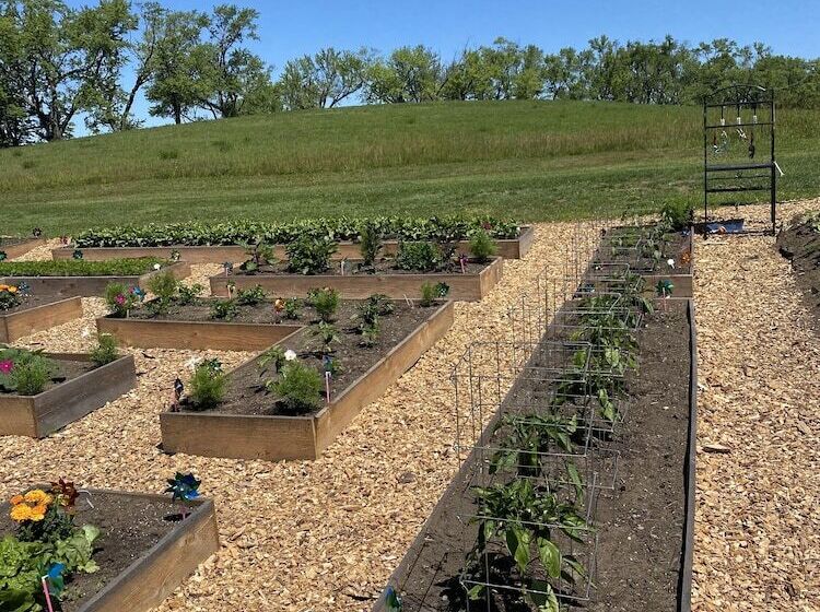 فندق The Wildflower Inn