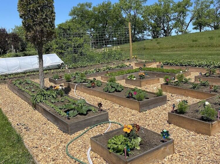 فندق The Wildflower Inn